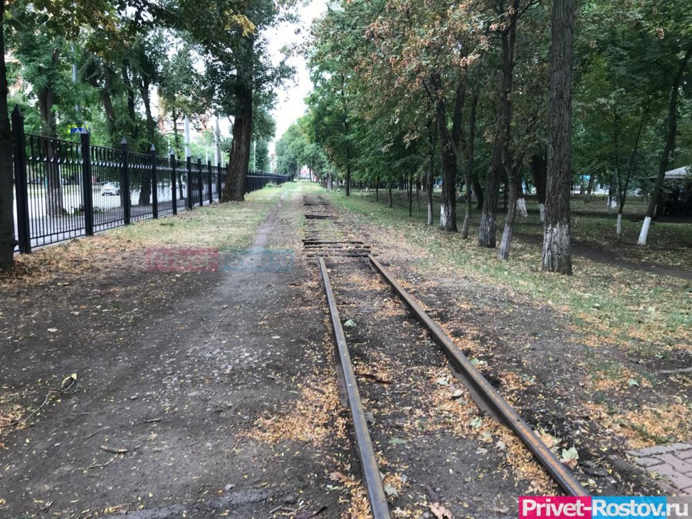 Стала известна судьба Детской железной дороги в ростовском парке Островского