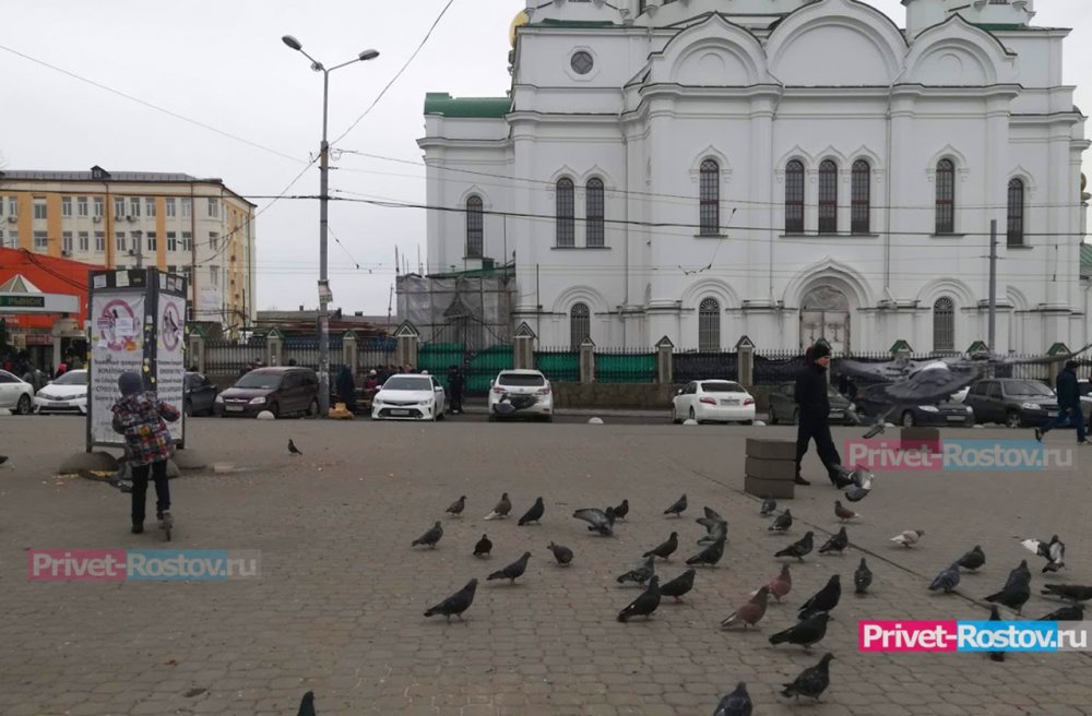 Остановку транспорта запретят на Соборной площади в Ростове-на-Дону