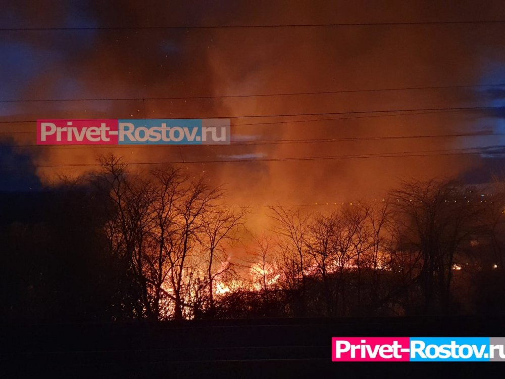 Ростовскую область затягивает дымом из-за горящих полей с камышом