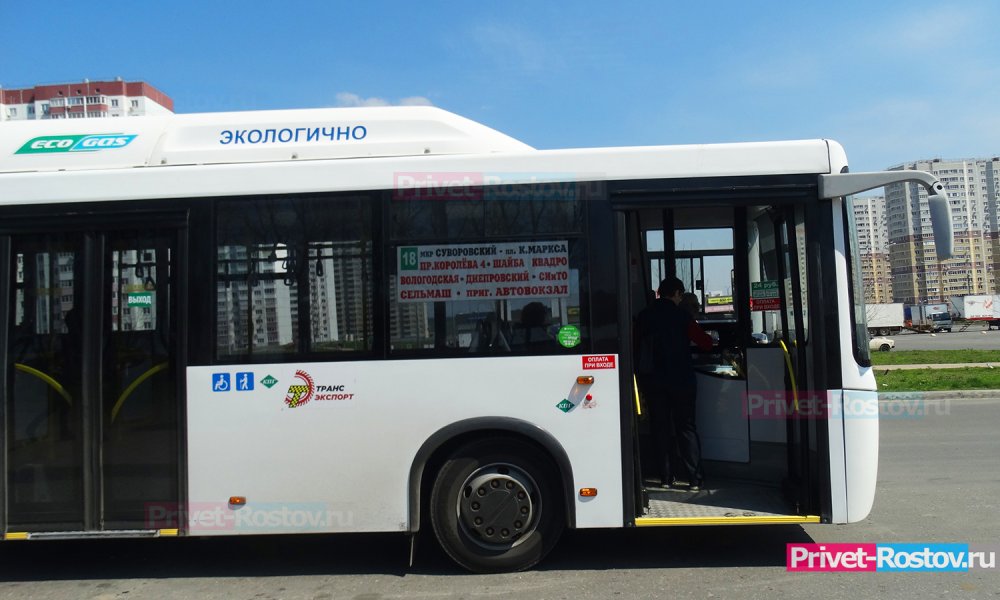 На новогодних праздниках в Ростове на маршруты не вышло более 50% автобусов