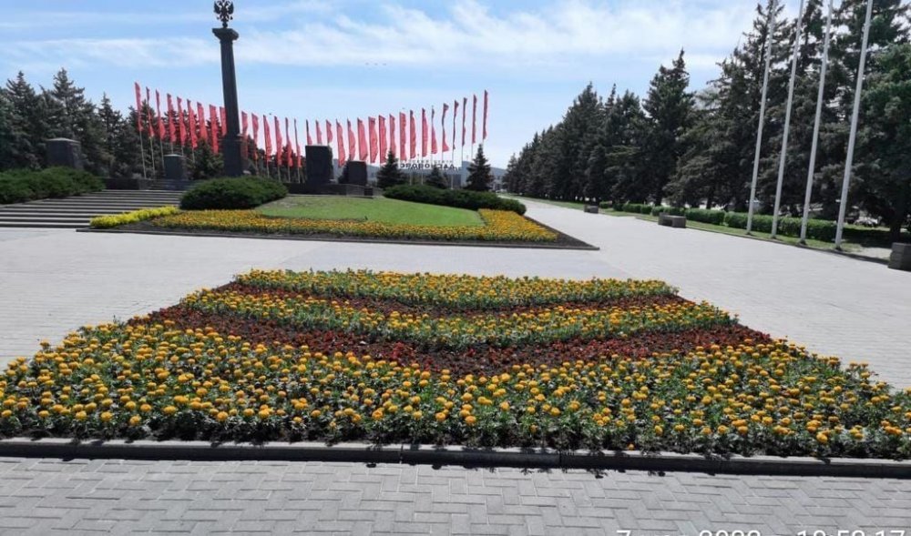 В Ростове-на-Дону массово высаживают цветущие растения и травы на клумбах