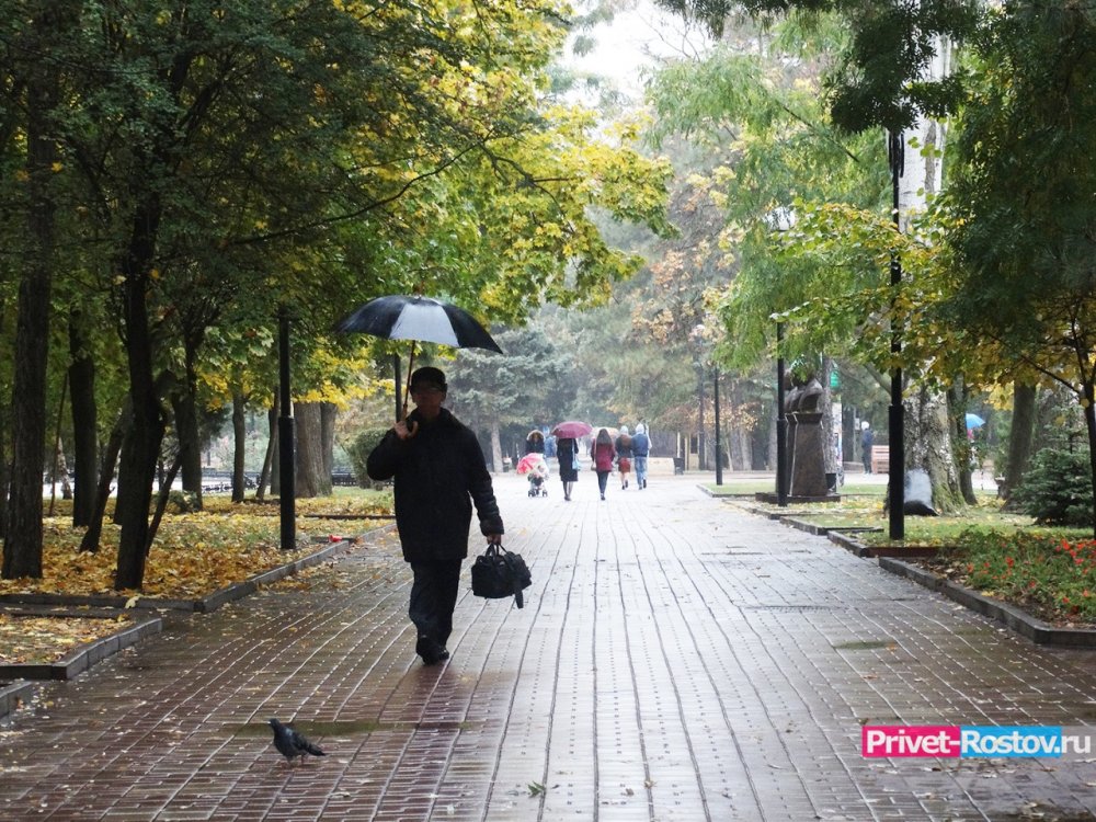 На выходных температура в Ростовской области упадет до +4 градусов и будут лить дожди