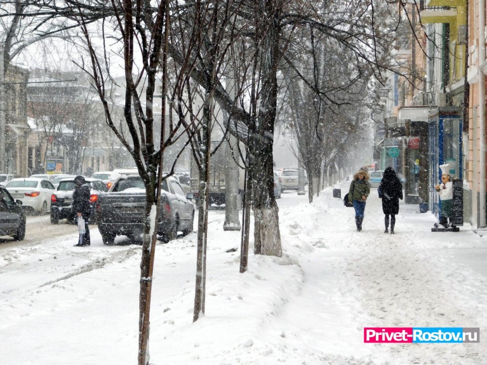 Снегопады обрушатся на Ростовскую область похолоданиями с 17 ноября