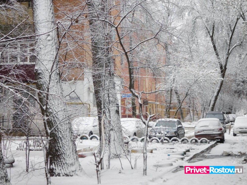 В Ростове-на-Дону 15 декабря ожидается дождь со снегом и ветер