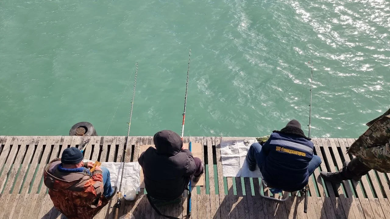 Массовая гибель рыбы зафиксирована в озере под Ростовом со 2 июля