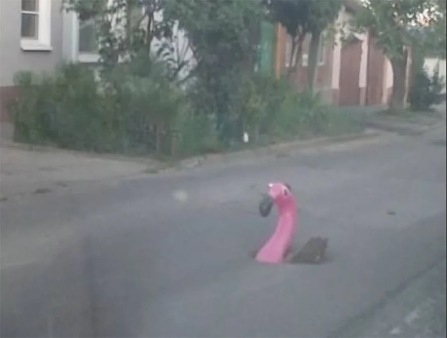 Розового фламинго в Ростове жители назначили смотрителем в дорожной яме