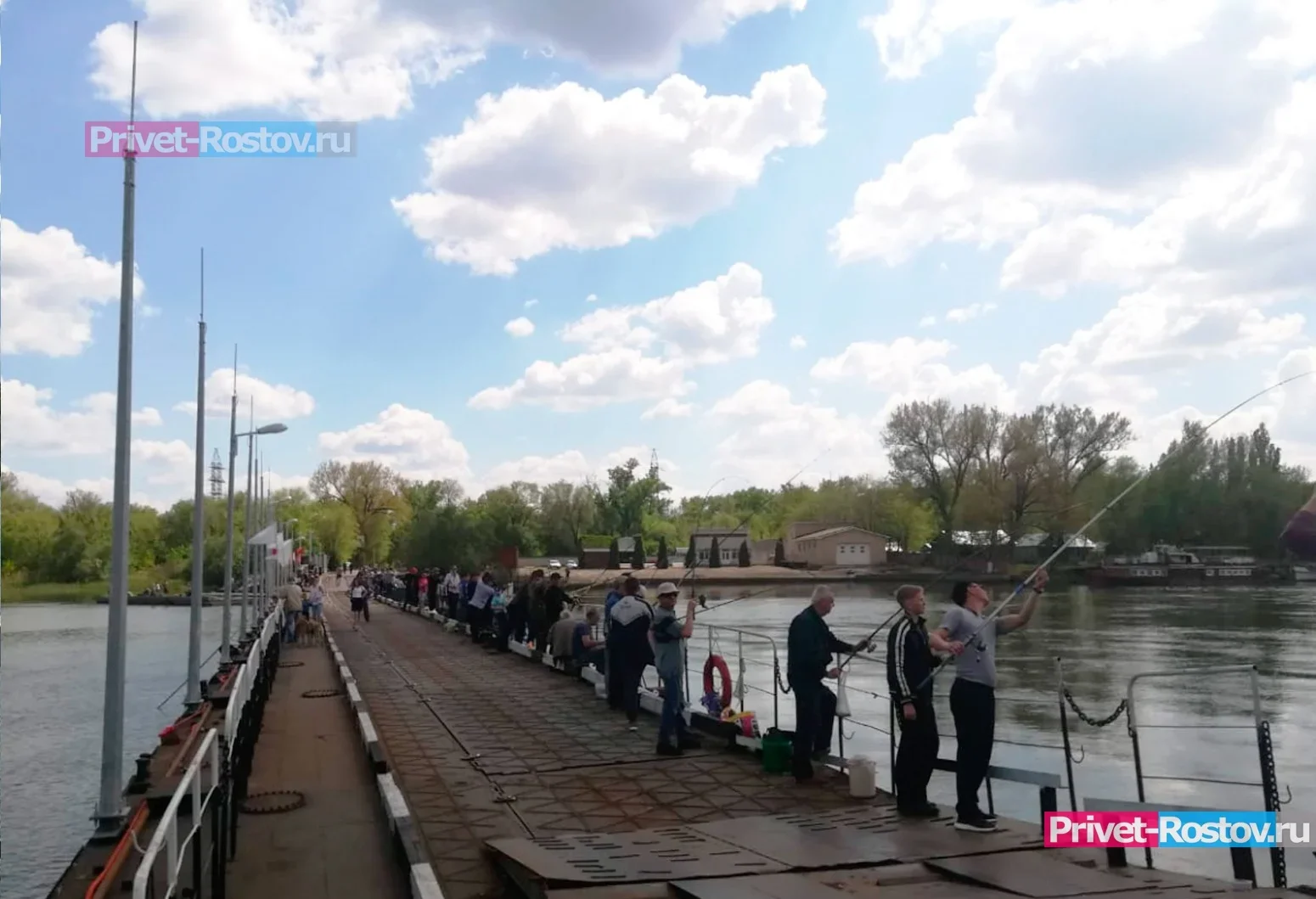 В Ростове власти приступили к проектированию капитального моста на Зеленый остров