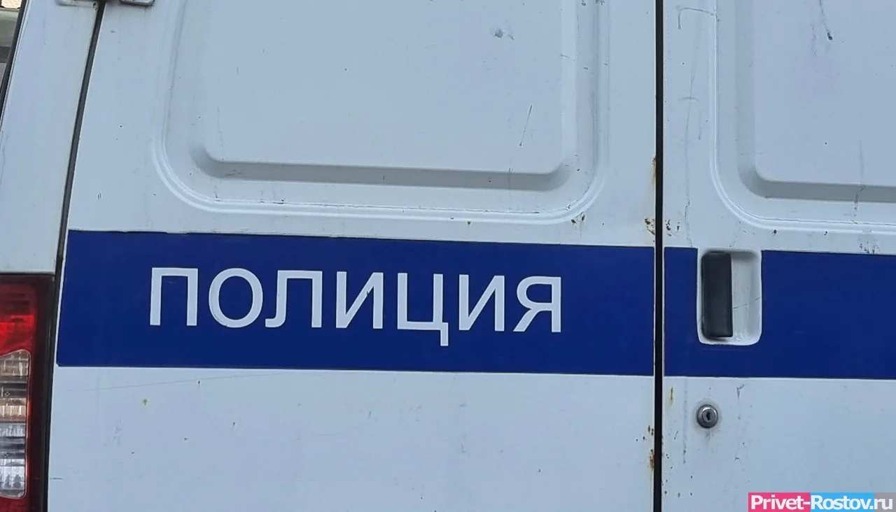 В Ростовской области задержали серийных грабителей