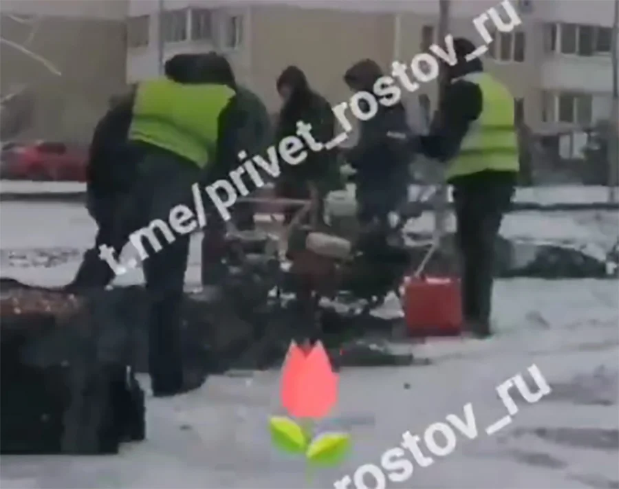 Власти Ростова объяснили, зачем коммунальщики в мороз и снег сажали тюльпаны