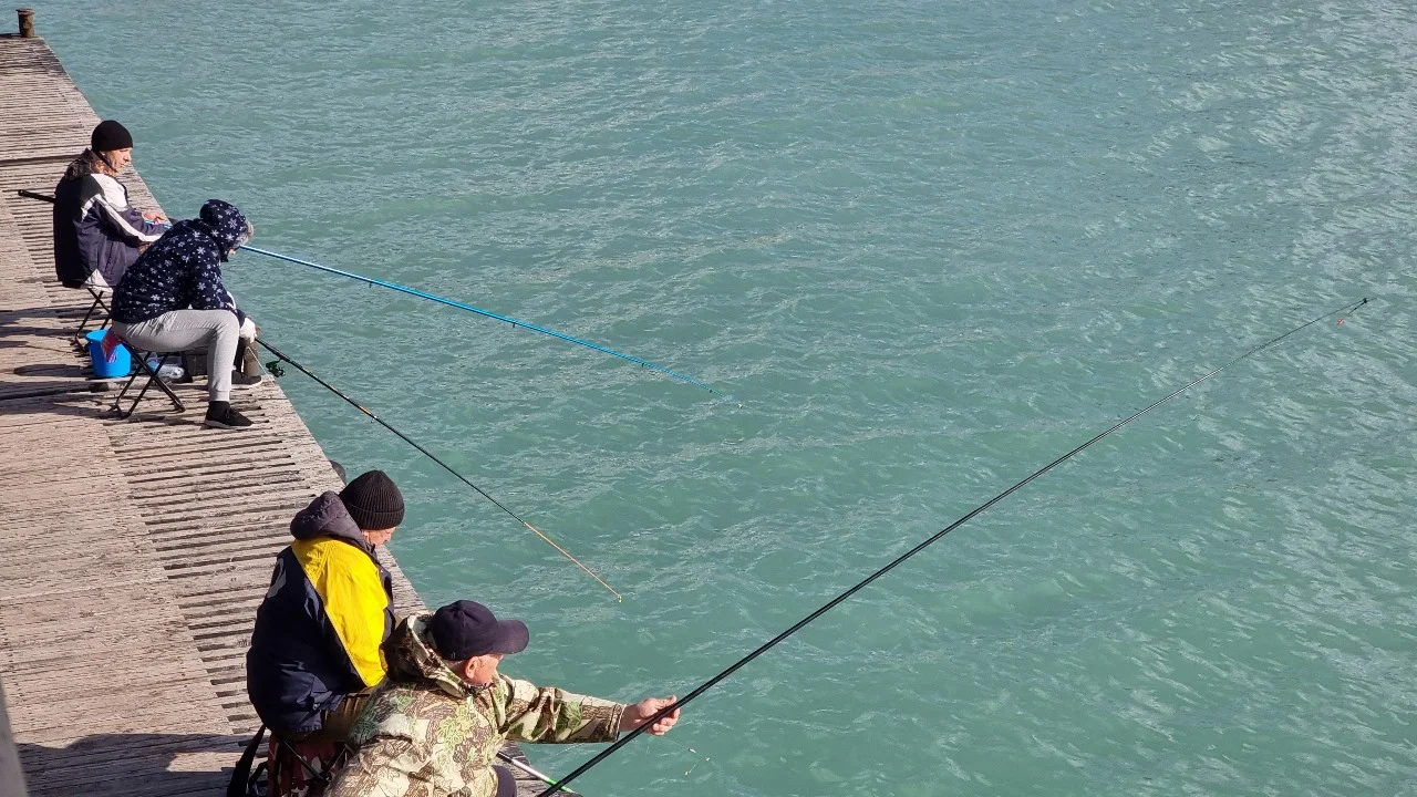 Ловить рыбу в Таганрогском заливе запретили с 1 марта