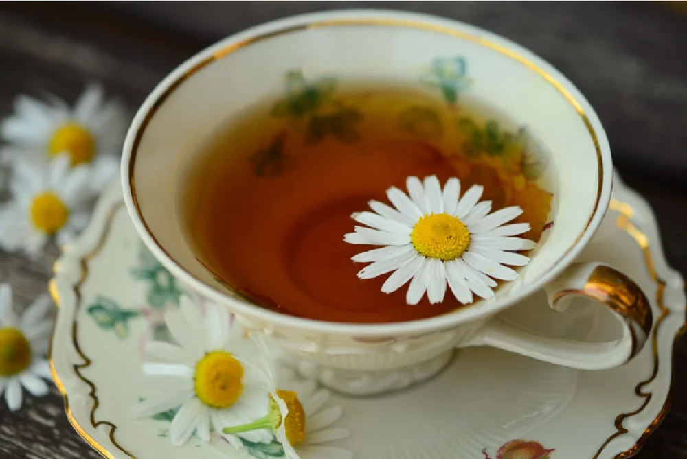 Врачи рекомендуют пить регулярно: стал известен самый полезный чай