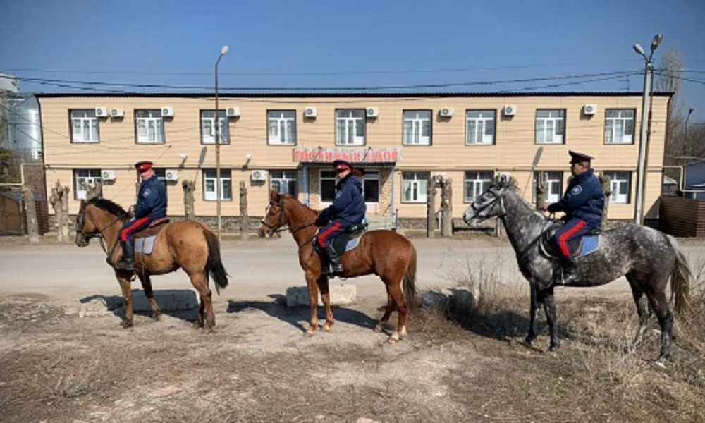 В части Ростовской области усилены конные дружины казаков