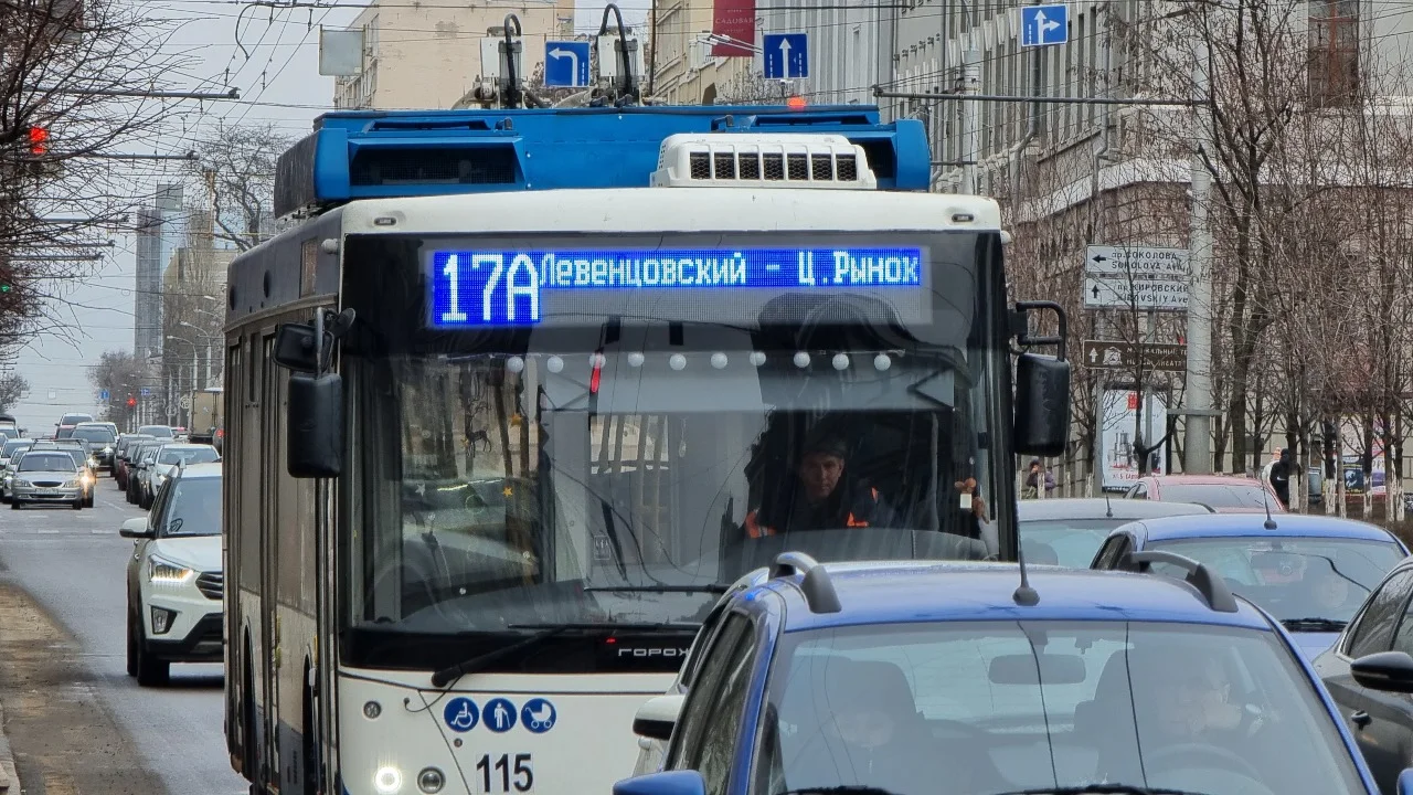 Логвиненко доложил Голубеву планы по модернизации троллейбусной сети в Ростове