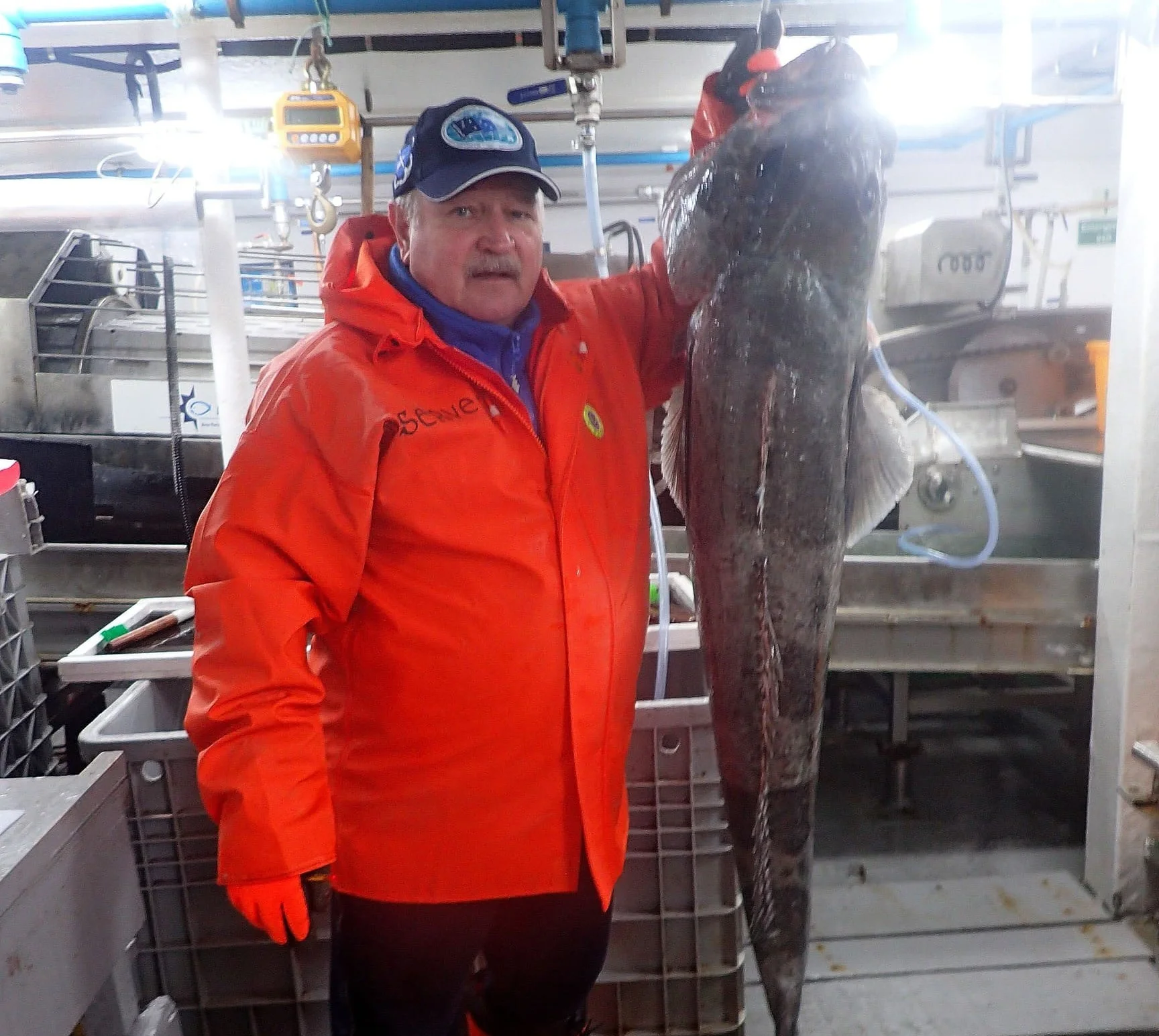 Огромного клыкача выловил ростовский ученый Зайцев в Антарктике