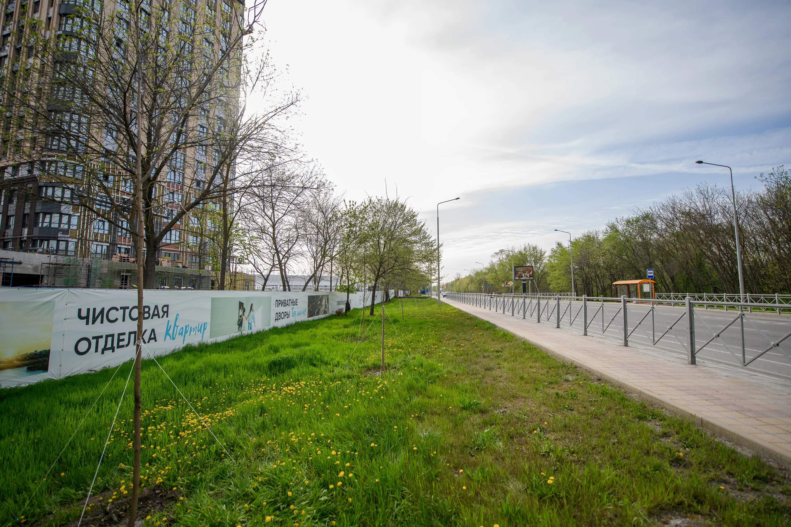 ГК «ЮгСтройИнвест» высадила в Ростове 100 деревьев вдоль Левобережной улицы