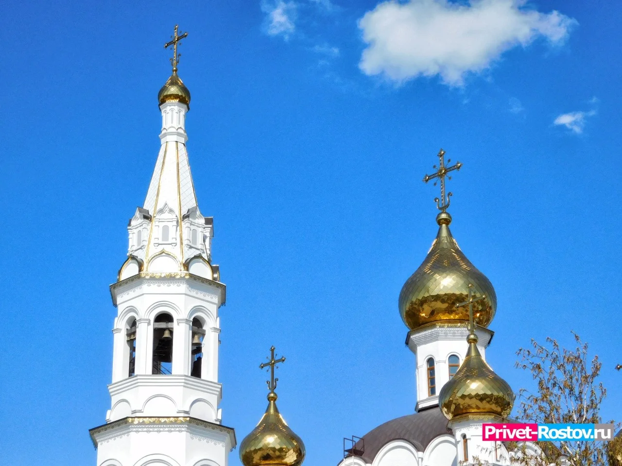 В 55 храмах Ростова пройдут службы в Вербное воскресенье