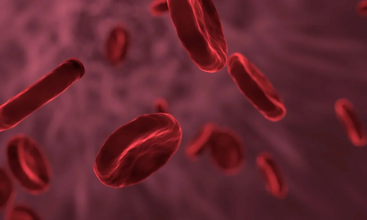 Ученые раскрыли связь между группой крови и внешностью