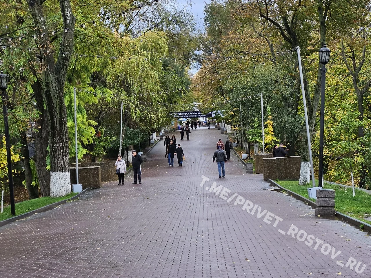 В Ростове реконструкцию парка Горького вновь начнут после корректировки проекта