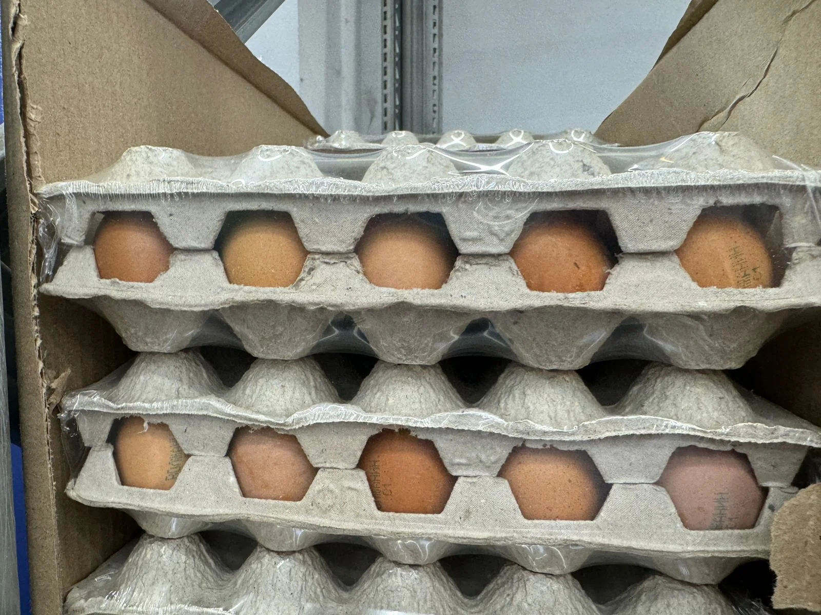 Бизнес заявил о падении на 10% оптовых цен на яйца перед Пасхой на юге России