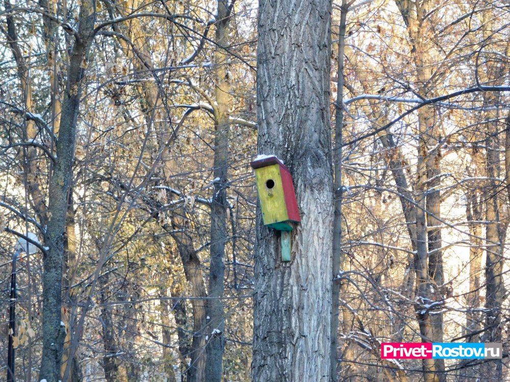 Зима в парке имени Николая Островского