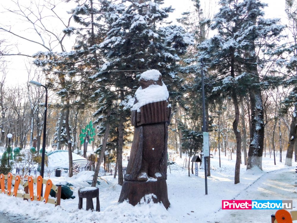 Зима в парке имени Николая Островского