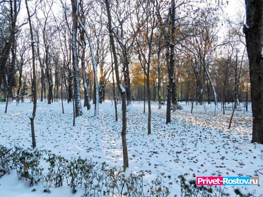 Зима в парке имени Николая Островского