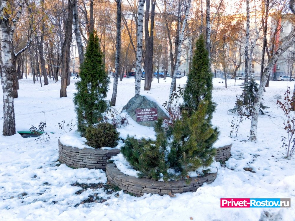 Зима в парке имени Николая Островского