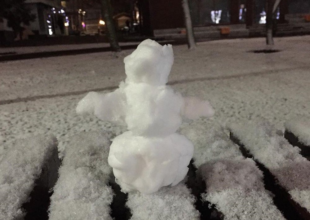 Ростовчане устроили парад снеговиков в сети
