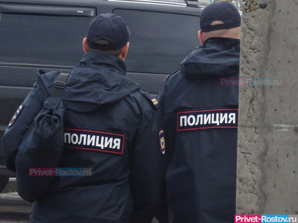 Ростовчанина, придумавшего фейк о пропавших детях, задержала полиция