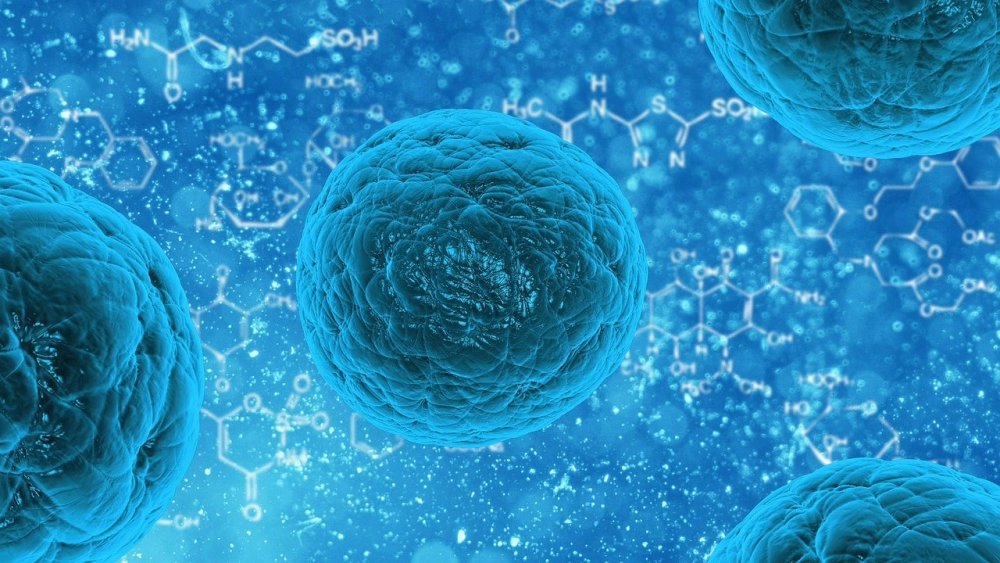 Ученые открыли клетки убивающие разные виды рака