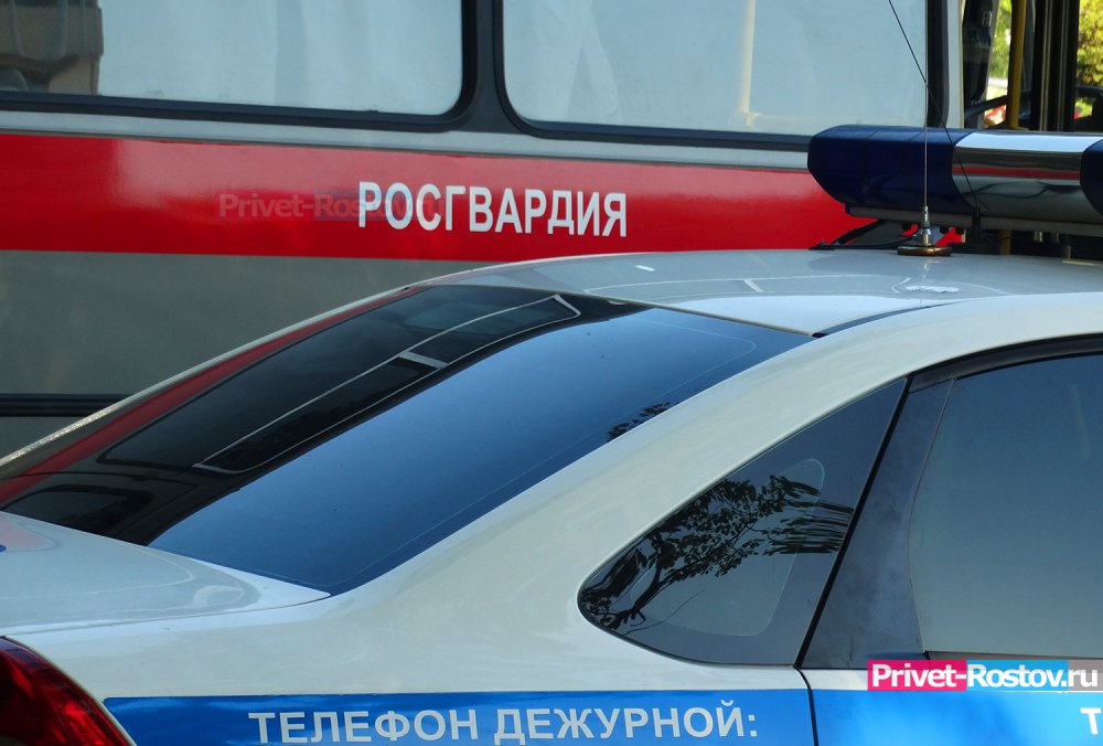 Петлял по дороге: пьяный водитель в Таганроге задержан сотрудниками Росгвардии