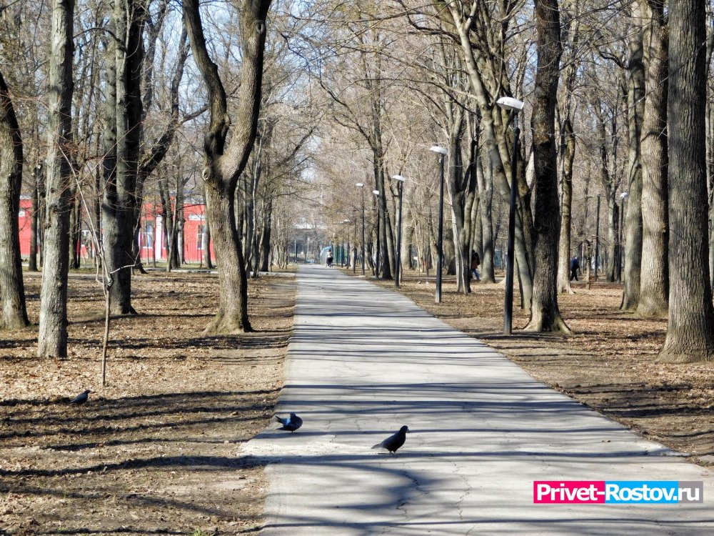 В этом году в Ростове начнутся работы по созданию экологического парка Темерник