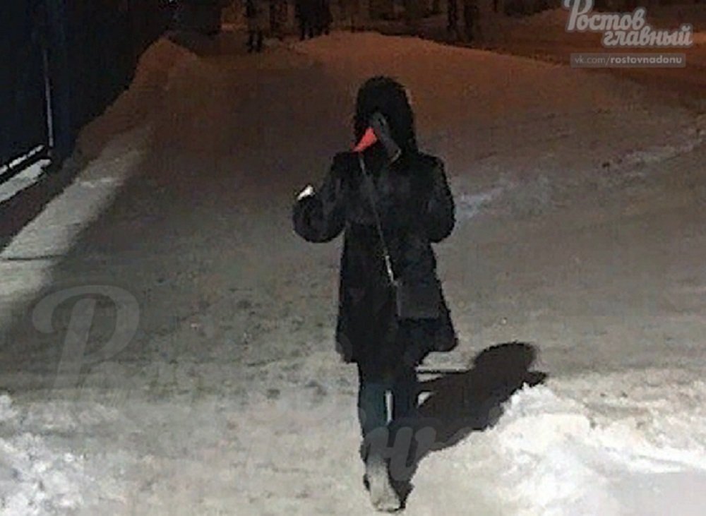 Девушка с топором гуляла по Чкаловскому в Ростове в темноте