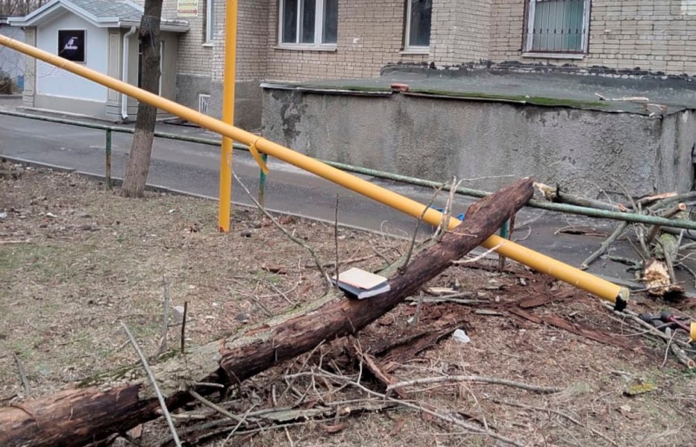 Разломившее трубу дерево оставило без газа сотни жителей в Ростове
