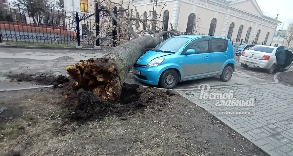 В Ростове шторм массово валит деревья и срывает крыши