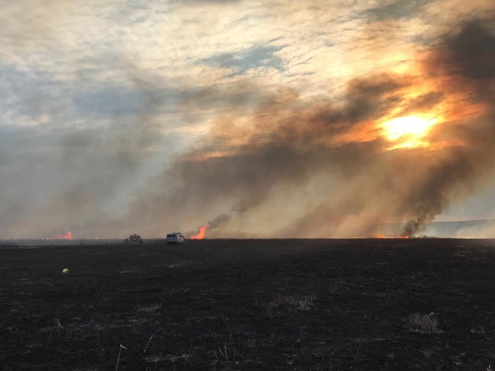 Большой пожар в Ростовской области тушат более 50 спасателей