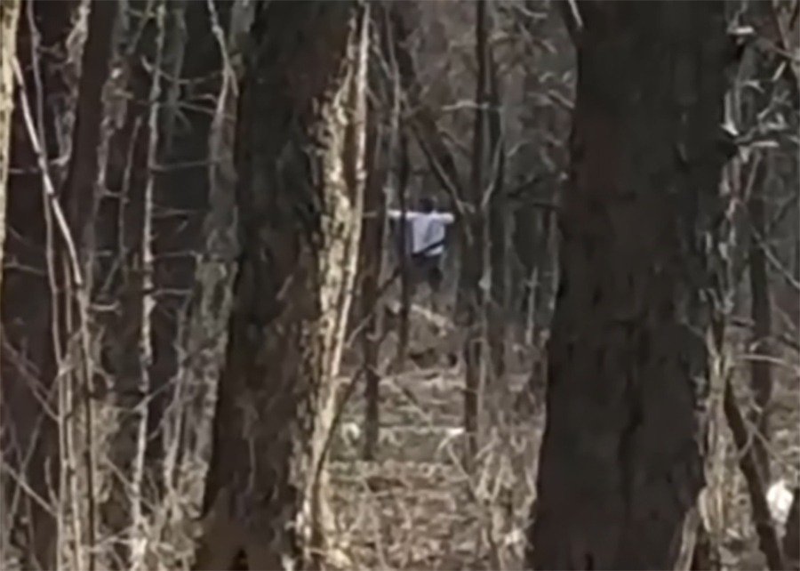 «Даже тут камеры»: ростовчане встали на защиту кричавшего в лесу мужчины