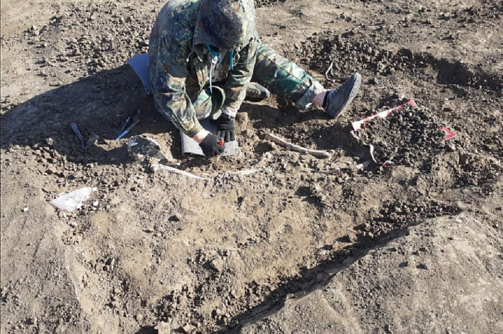 Погребение различных эпох нашли под Ростовом археологи