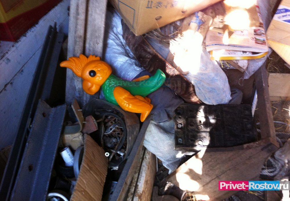 «Спасло чудо»: голову малышу в Ростове пробил стержень от игрушки
