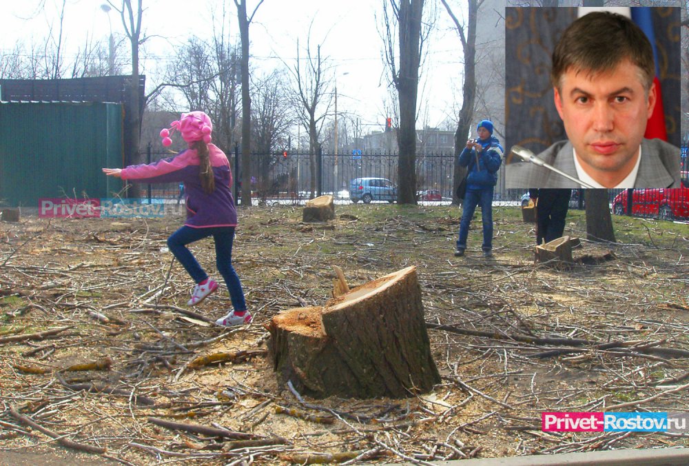 Алексей Логвиненко: «Деревья мы рубить не можем никак»