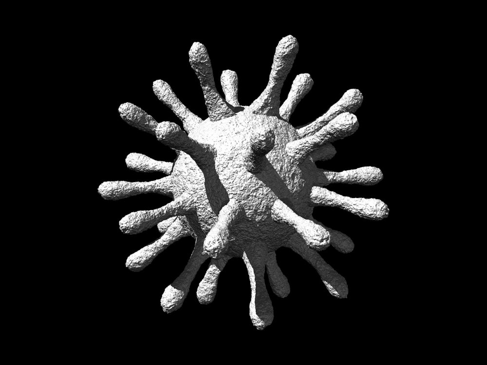 У солиста Rammstein обнаружили коронавирус