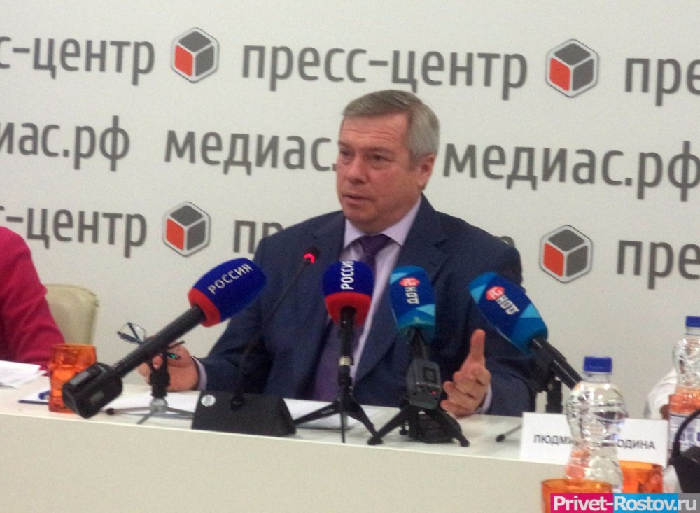 «Из дома не выходить»: губернатор Голубев ввел режим самоизоляции в Ростовской области