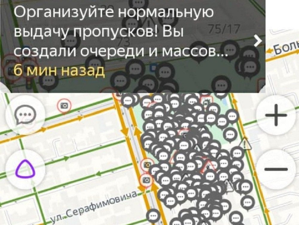 Виртуальный митинг из-за новых пропусков прокомментировали власти Ростовской области