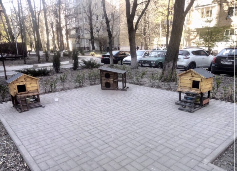 Отель для бездомных котиков построил в Ростове горожанин