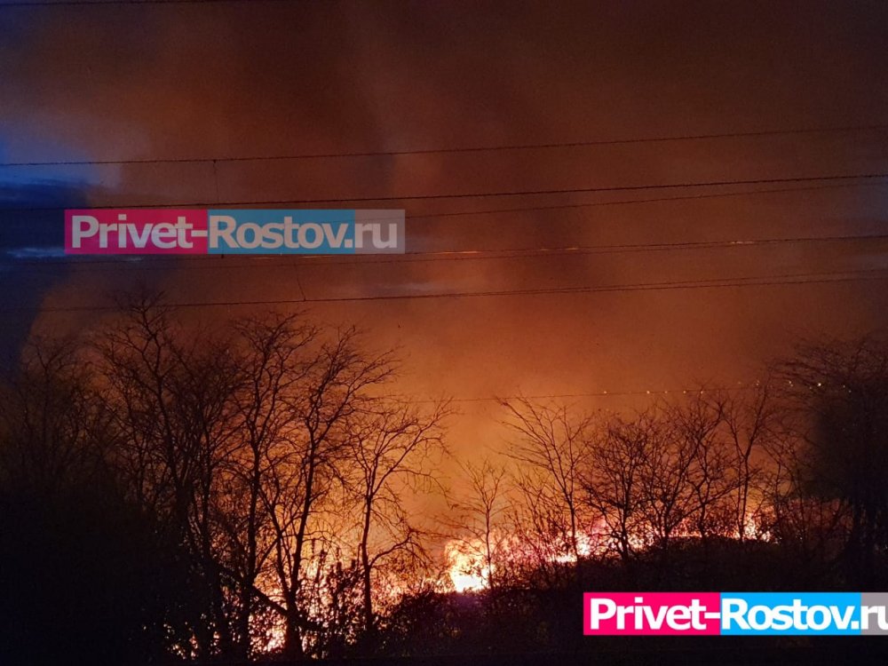 Пожар полыхает около Змиевской балки в Ростове