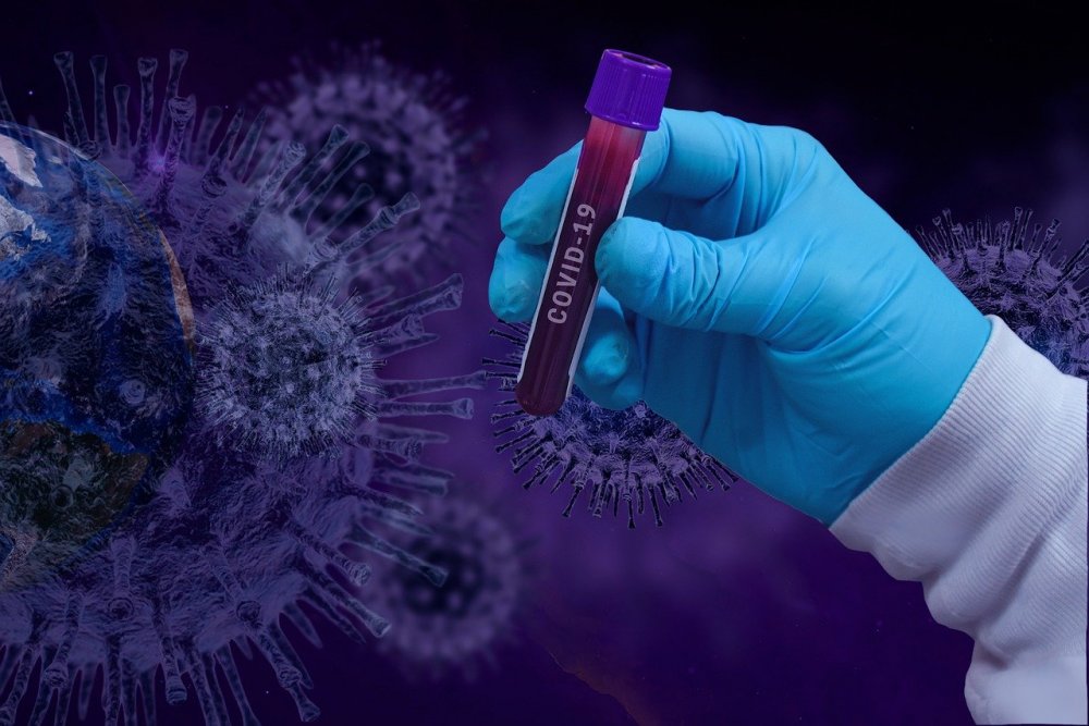 О возможности появления коронавируса в ходе лабораторных экспериментов сообщила Поклонская