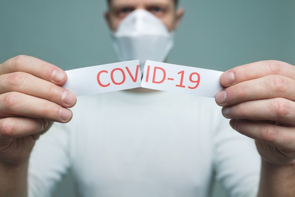 Платные тесты на коронавирус введут в Ростовской области