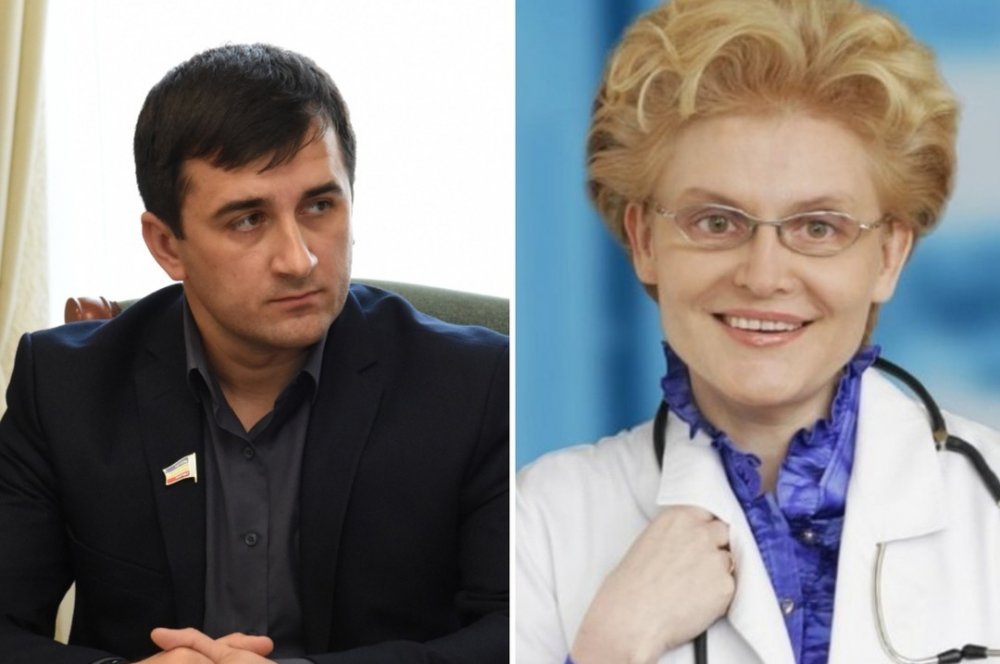 Наказать Елену Малышеву за распространение фейков о коронавирусе требует ростовский депутат