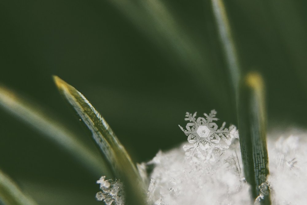 Погода пошутила: в Каменске-Шахтинском выпал снег