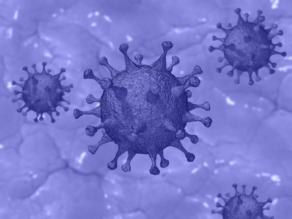 Ученый из России назвал условия для формирования иммунитета к коронавирусу